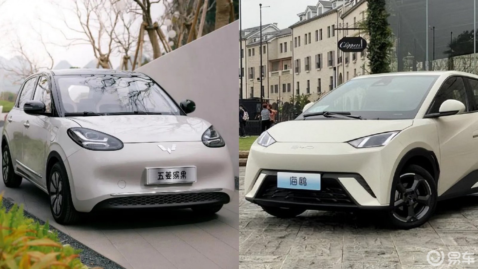 都有优惠，五菱缤果PK比亚迪海鸥，你怎么选？